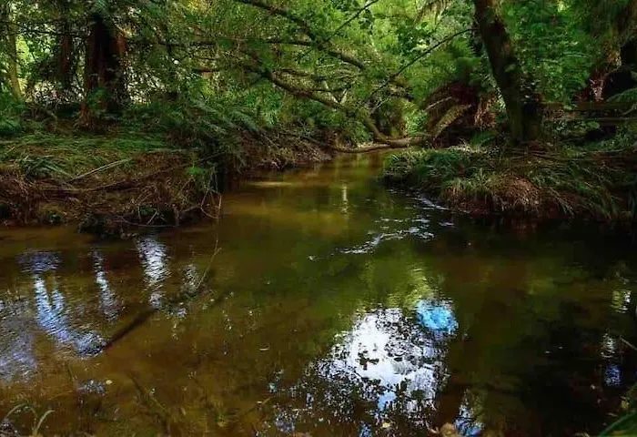 Paradise Valley River * 罗托鲁阿